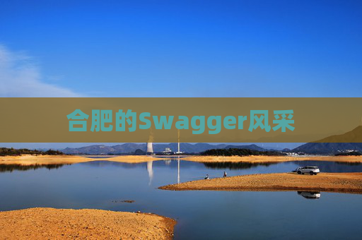 合肥的Swagger风采