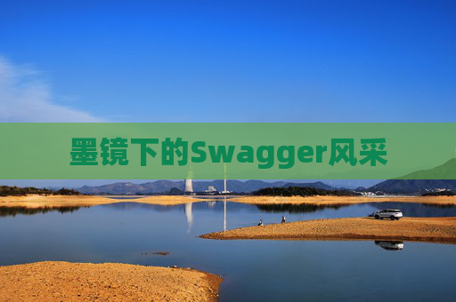 墨镜下的Swagger风采