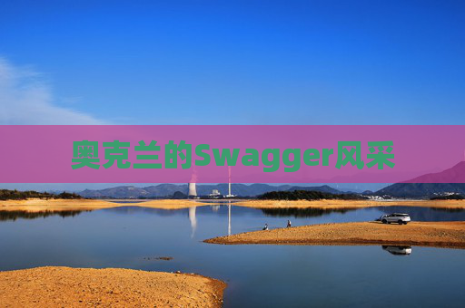 奥克兰的Swagger风采